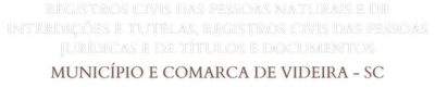 logo registro videira